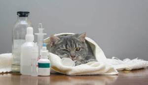 Akılcı ilaç kullanımı