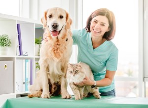 Gülümseyen Kadın Veteriner Hekim, Golden Retriever Köpeği ve Tüylü Kedi